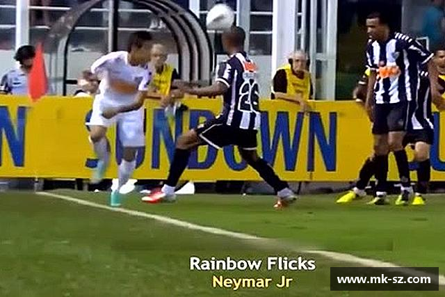 了解3377体育官网